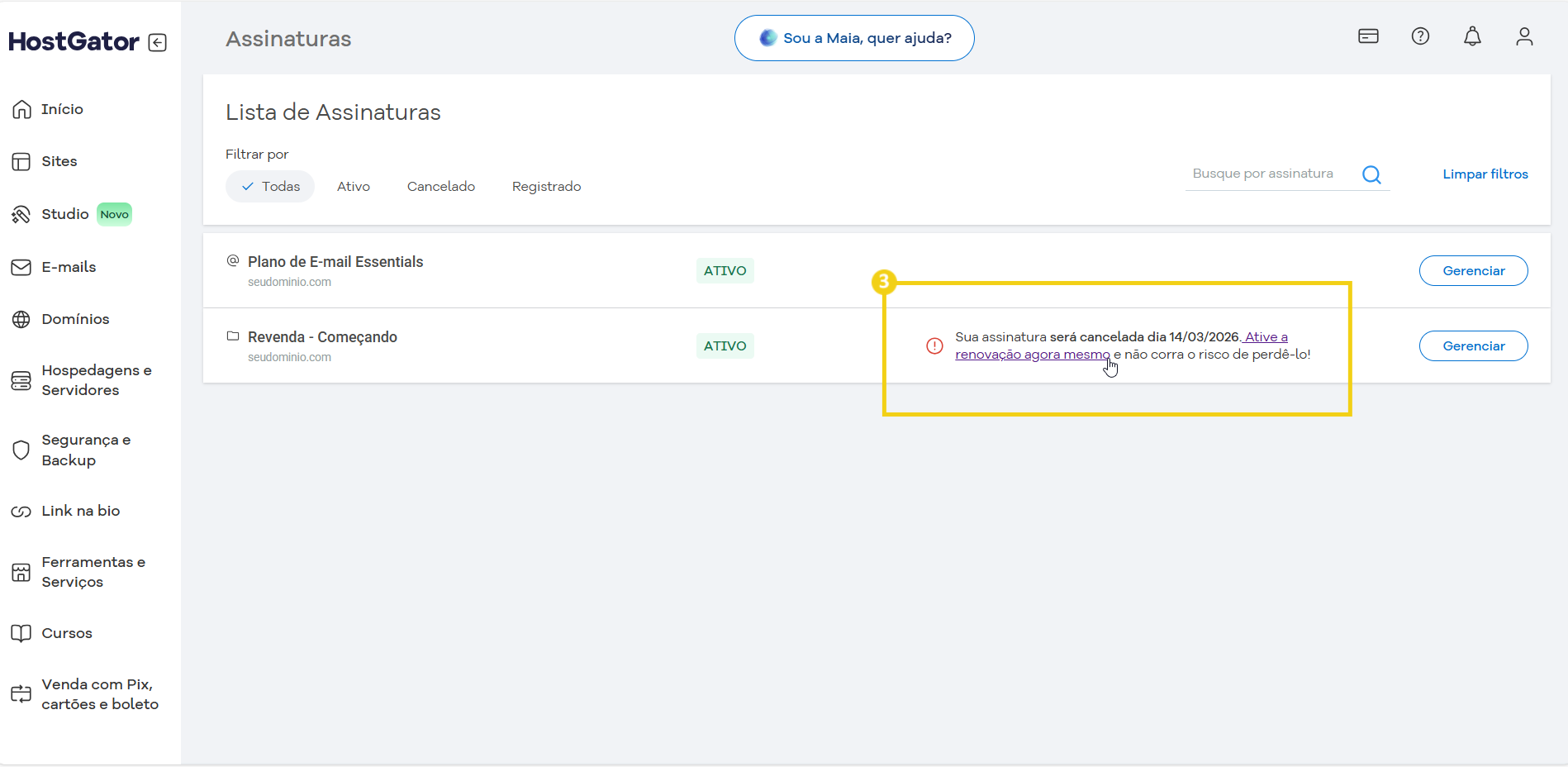 Tela do painel do HostGator mostrando a lista de assinaturas de e-mail, com destaque para a mensagem de aviso sobre o cancelamento de assinatura.