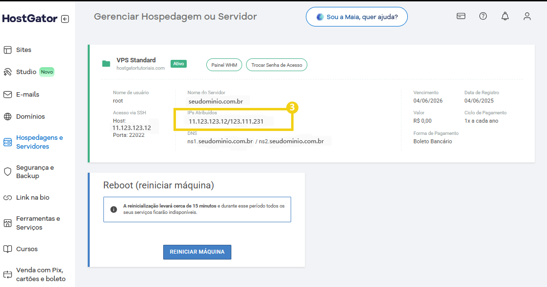 Tela de gerenciamento de hospedagem de servidor VPS com IP atribuído e opções de reboot na plataforma HostGator.