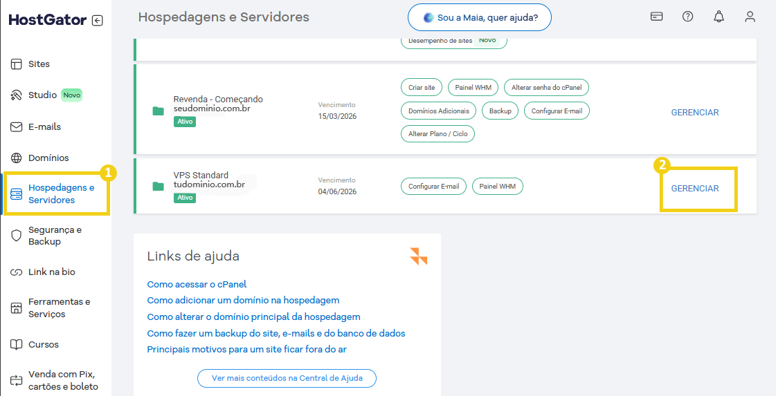 Imagem da interface do painel de hospedagens e servidores do HostGator, destacando a seção com domínios ativos e o botão 'GERENCIAR' para um domínio, com foco em gerenciamento de hospedagem e servidores.
