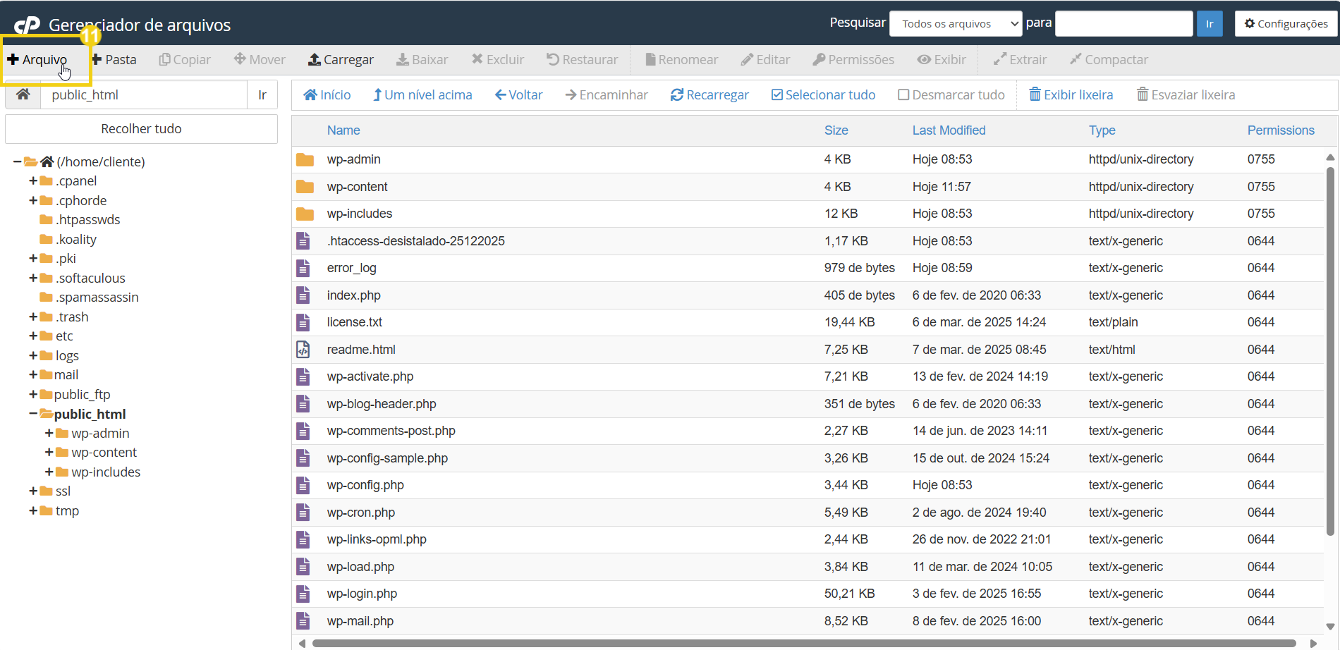 Imagem mostra a tela do cPanel em Gerenciador de arquivos, clicar no botão "Arquivo"