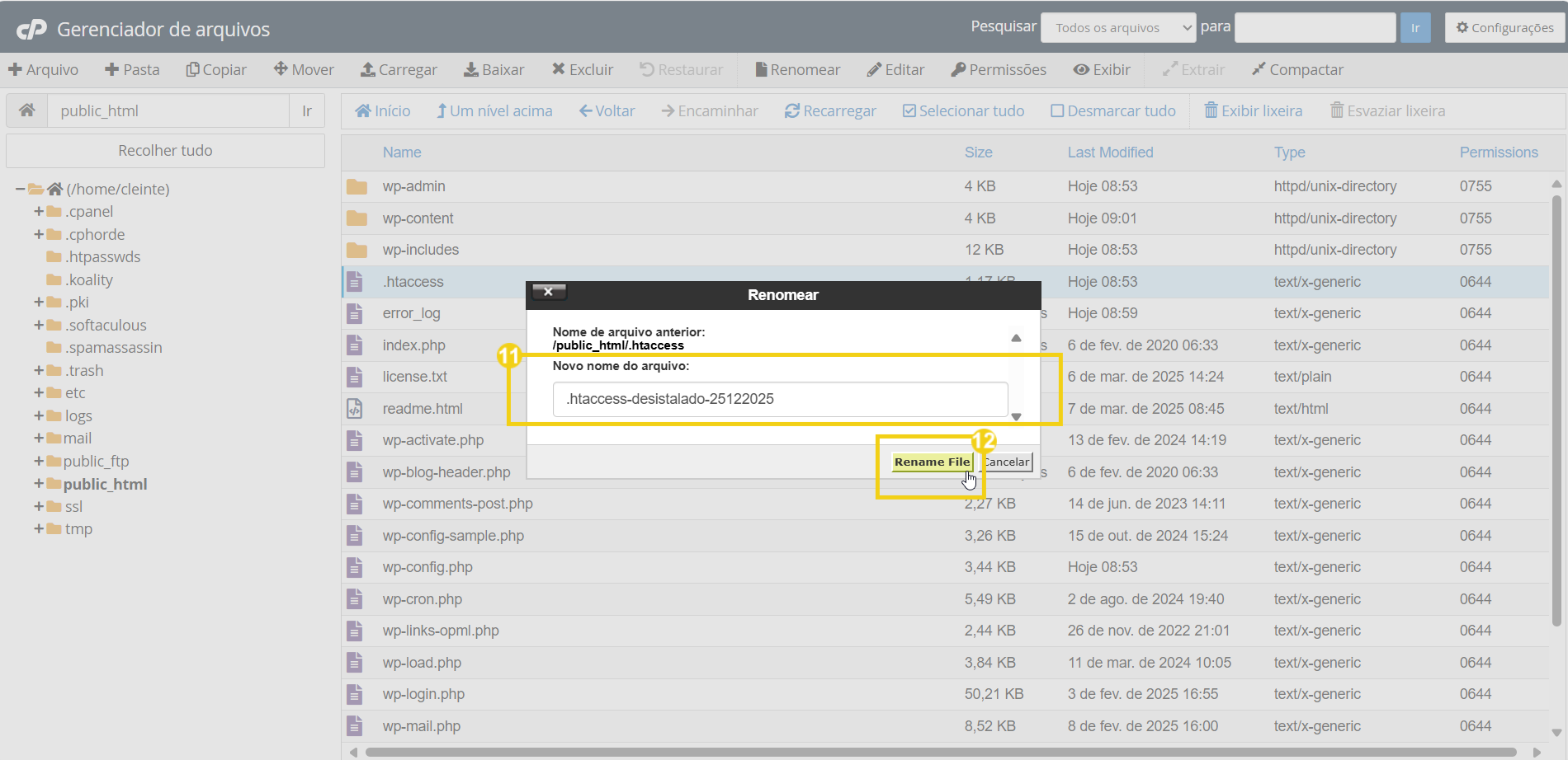 Imagem mostra a tela do cPanel em Gerenciador de arquivos, para renomear o arquivo