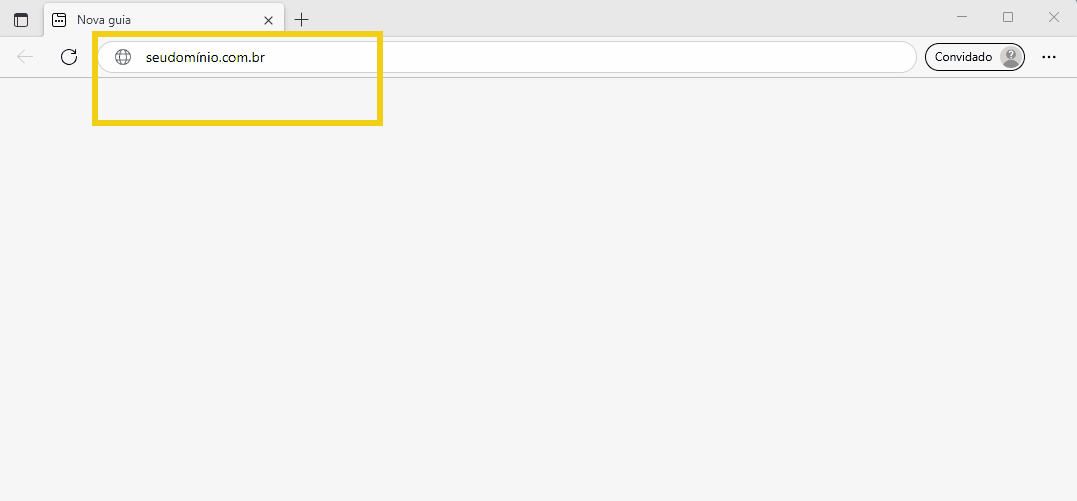 Imagem de uma página de navegador com a URL 'seudominio.com.br' destacada em destaque, representando uma nova guia de internet.