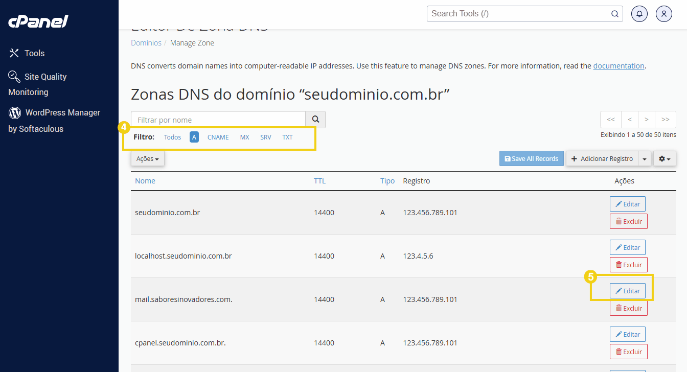 Imagem de gerenciamento de zonas DNS no painel de controle do cPanel, mostrando configurações de domínio