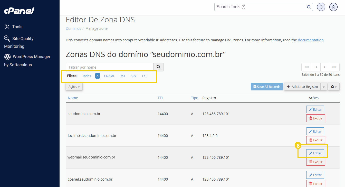 Imagem da interface do Gerenciador de Zonas DNS no cPanel, mostrando registros tipo A de e-mail, filtros de busca e opções de edição e exclusão de DNS.