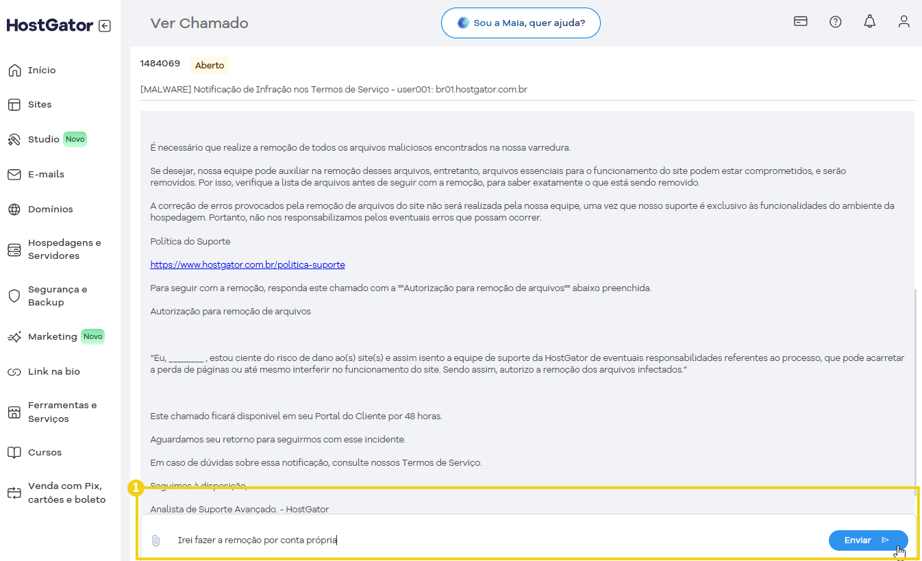 Imagem de uma tela de suporte avançado do HostGator, com opções de remoção de arquivos e análise de suporte técnico.