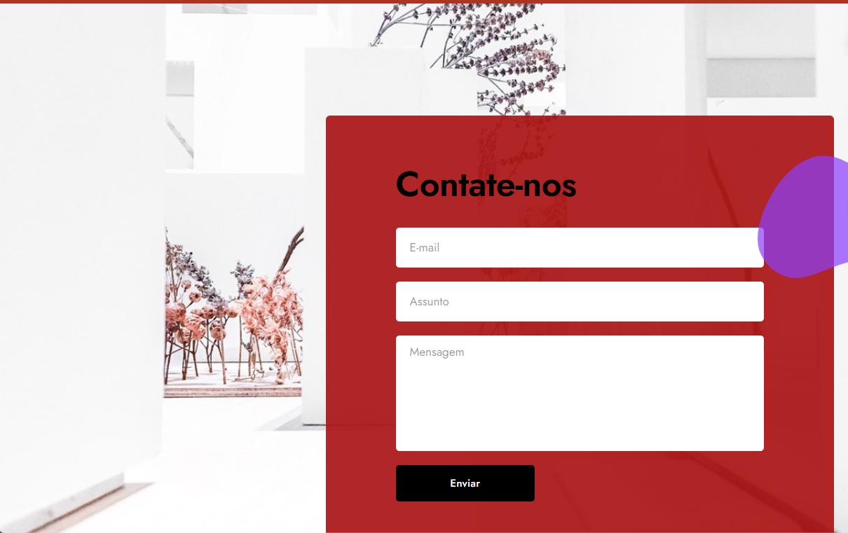 tela do site, com as alterações feita, mostrando uma pré-visualização do formulario no site