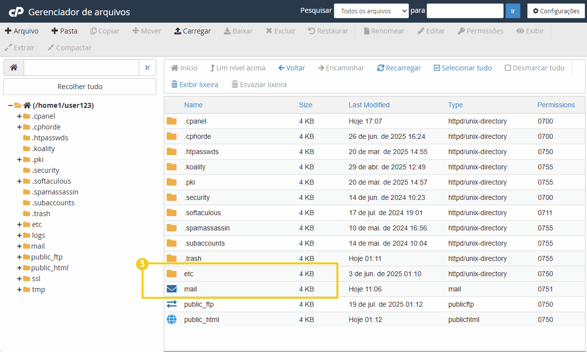 Imagem de uma tela de gerenciamento de arquivos no cpanel, exibindo as pastas etc e-mail.