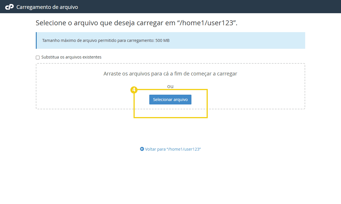 Imagem ilustrativa da tela de carregamento de arquivo do cpanel com botão “Selecionar arquivo'” para upload de arquivos.