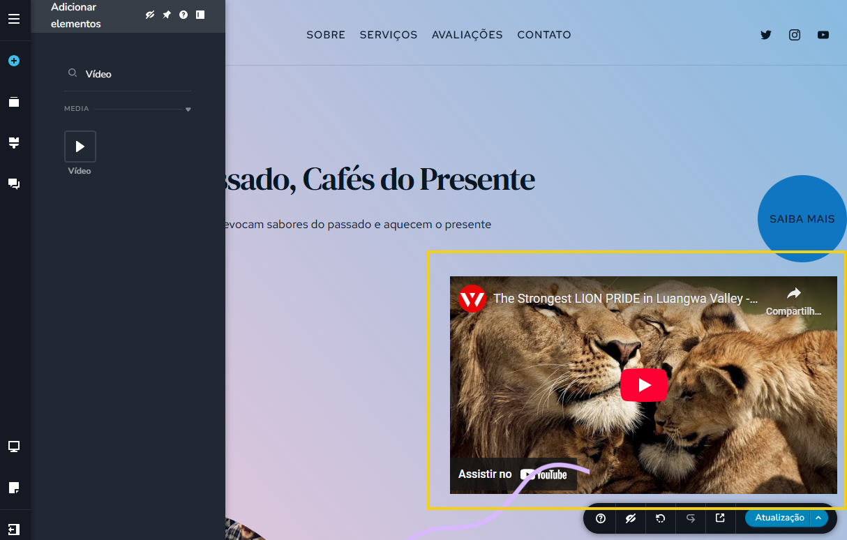 Imagem de uma página de site com vídeo sobre leões no Luangwa Valley, destacando a força e orgulho dos animais selvagens.