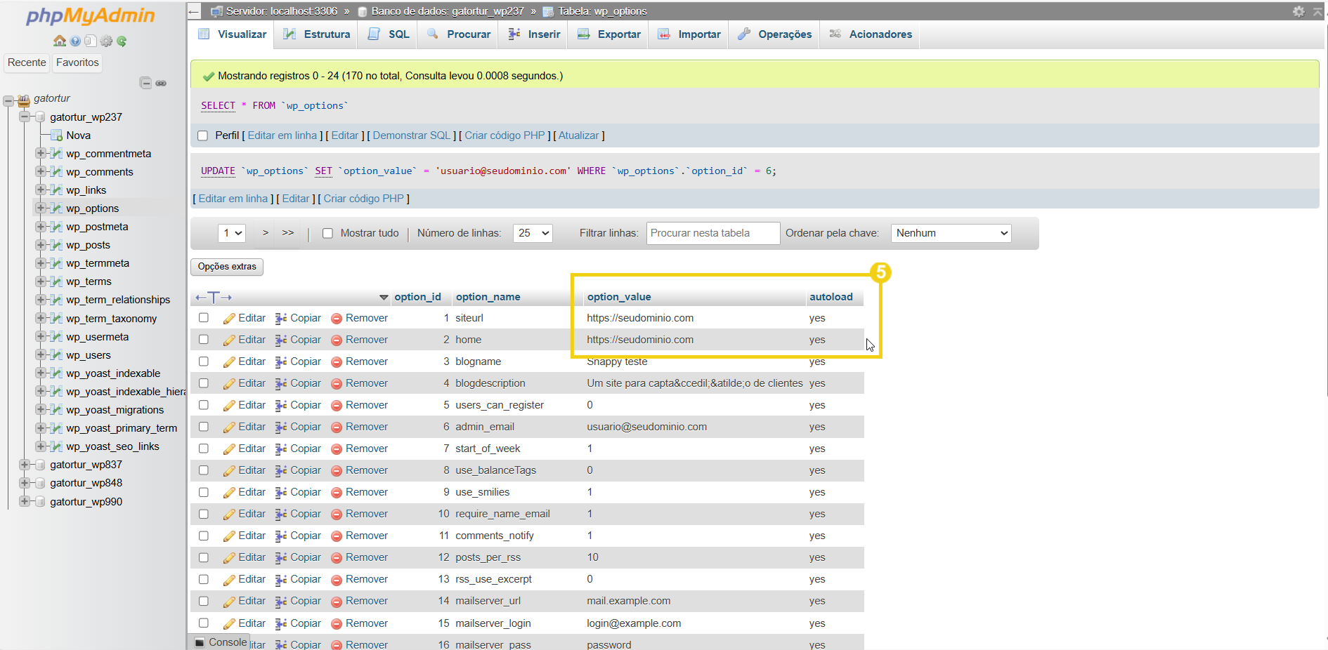 Imagem mostra a tela do painel phpMyAdmin para inserir a URL do site