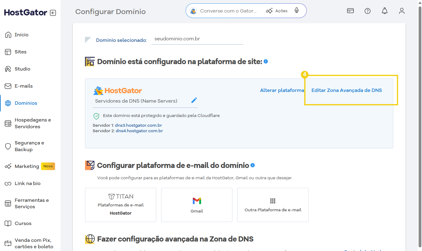 Imagem mostra a tela do Portal do Cliente para editar a Zona Avançada de DNS
