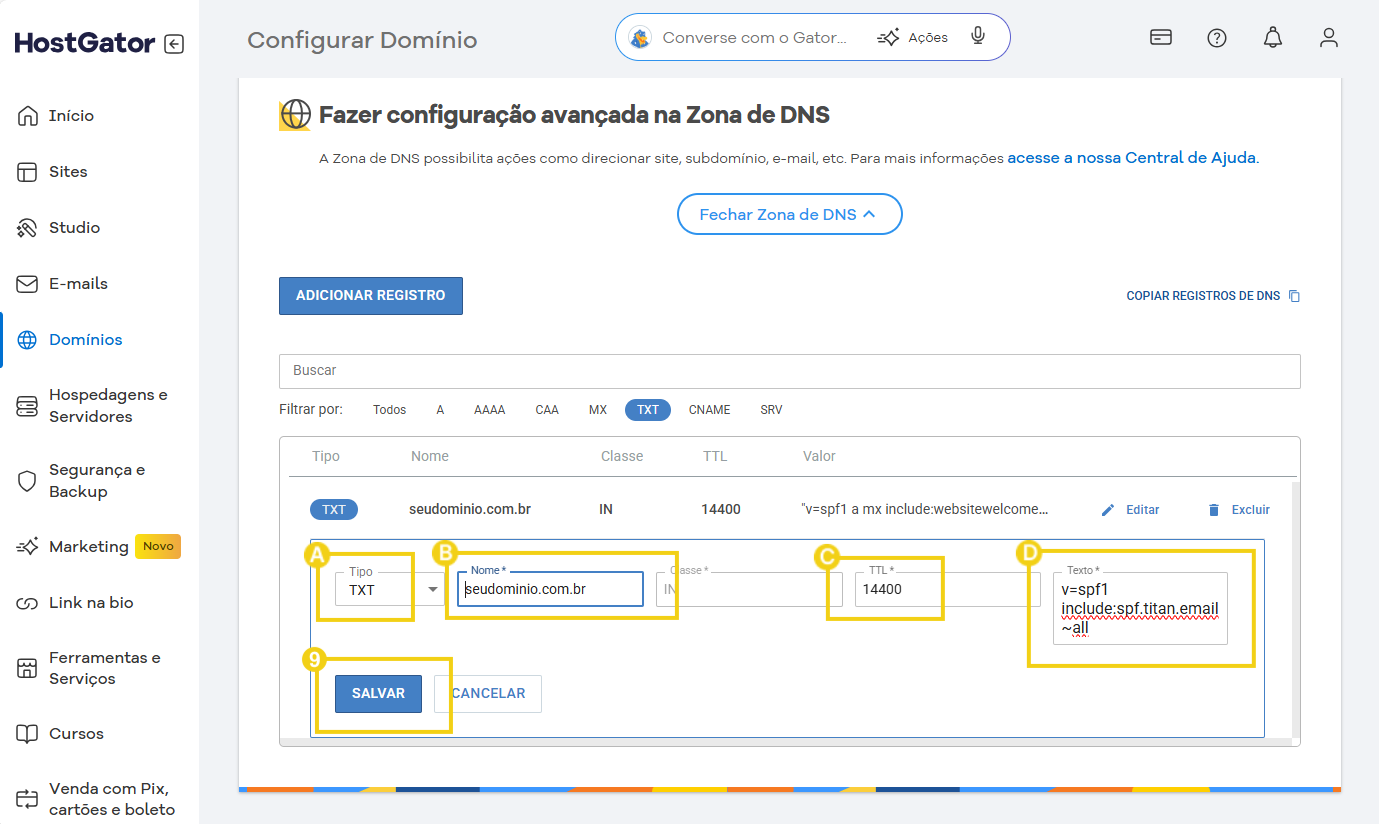 Imagem mostra a tela do Portal do Cliente para adicionar as informações na Zona DNS