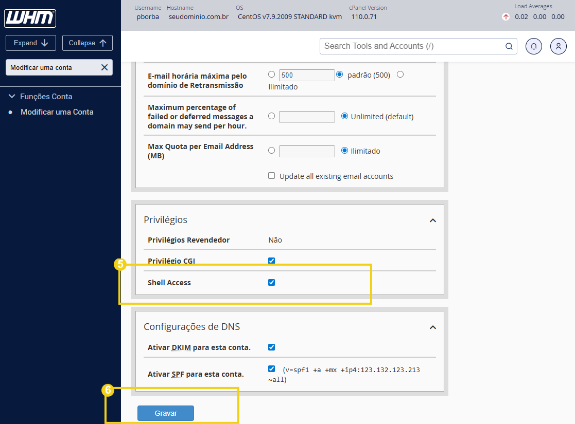 Imagem de configurações de gerenciamento de contas de email no WHM, incluindo privilégios de revendedor e configurações de DNS