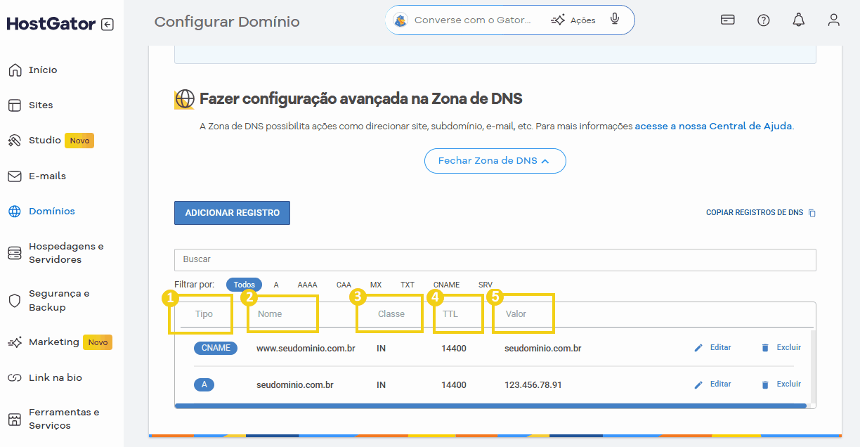 Imagem mostra a tela do Portal do Cliente na área da Zona de DNS, destacando os campos de um registros