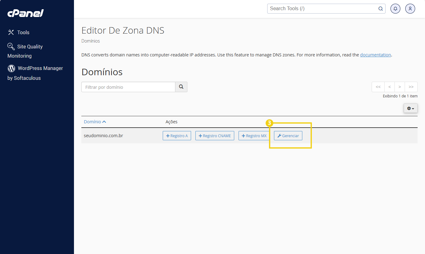  Imagem do painel de configuração do Editor de Zona DNS mostrando a listagem de domínios, com destaque para a funcionalidade de gerenciamento de registros DNS 