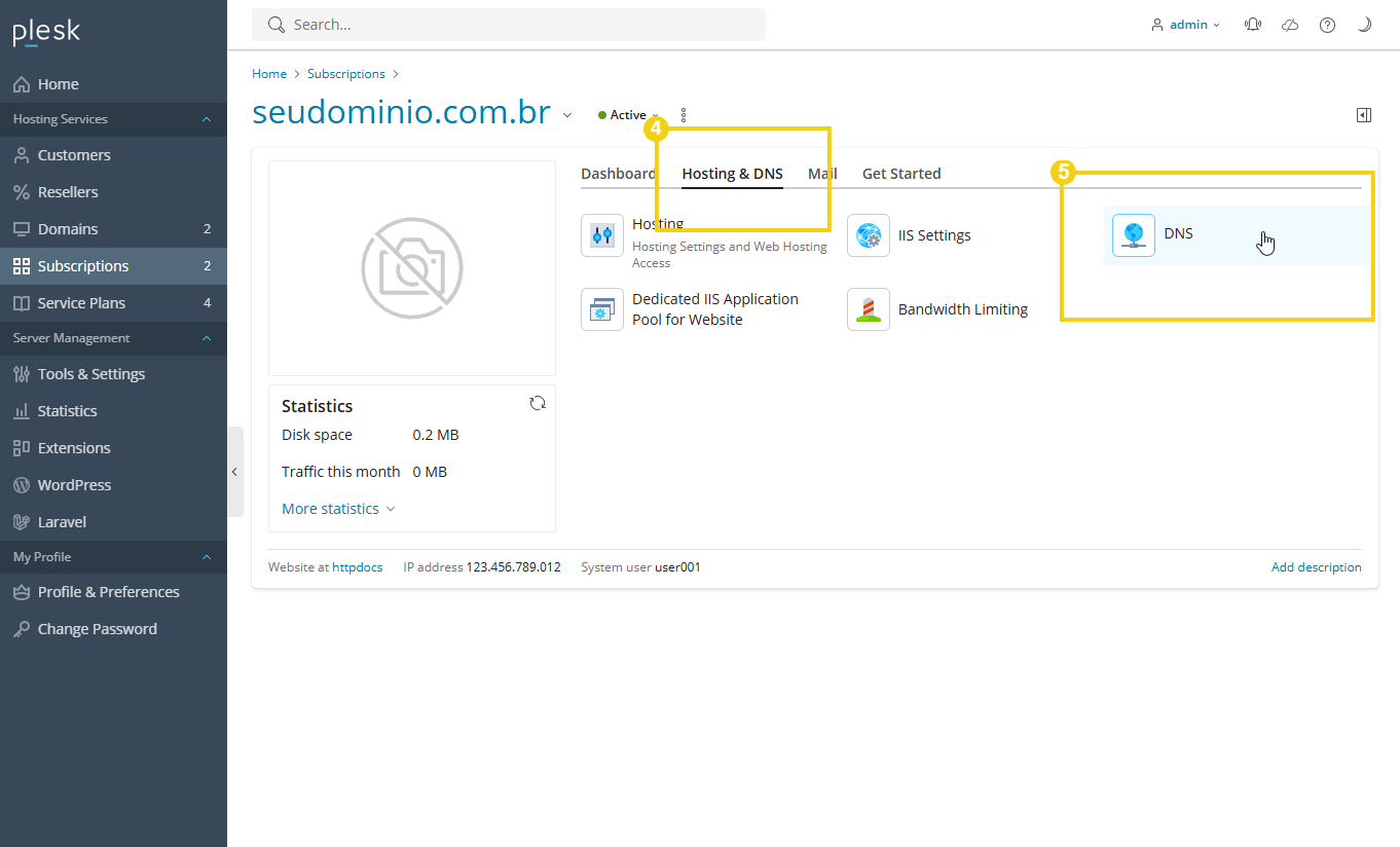 Configuração de DNS no painel de controle de hospedagem Plesk, indicando os passos para gerenciar DNS de forma eficiente