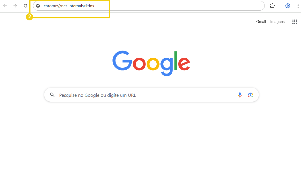  Como limpar o cache de DNS (Flush DNS) - 3  Alt-text: Imagem da tela do Google Chrome aberto, mostrando a URL chrome://net-internals/#dns e o logo do Google na página inicial