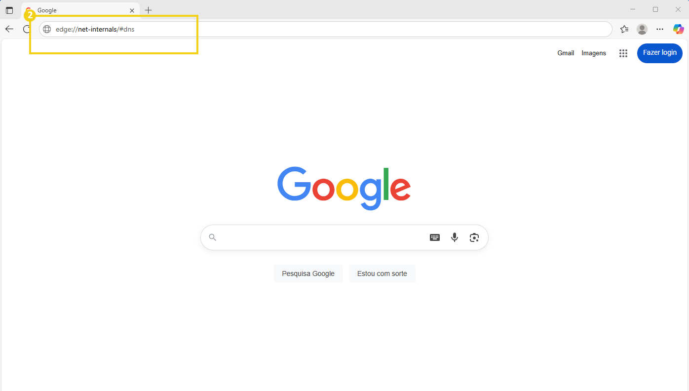 Como limpar o cache de DNS (Flush DNS) - 5  Alt+Text: Tela do navegador Microsoft Edge aberto na página do Google mostrando a URL edge://net-internals/#dns e o logo do Google na página inicial.