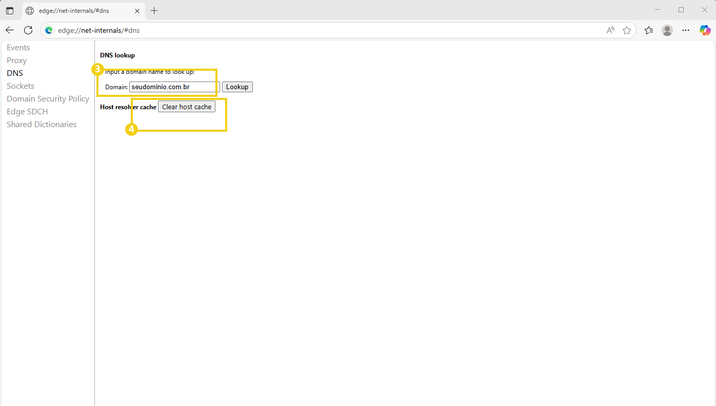 Imagem mostrando uma interface de verificação de DNS, com campos para inserir o nome do domínio e realizar a consulta de DNS no navegador 