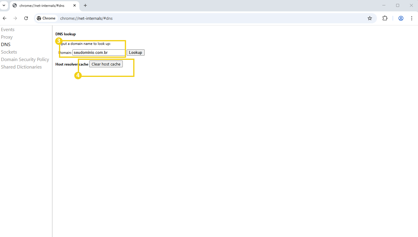 Imagem mostrando a ferramenta de configuração DNS no navegador Chrome, incluindo opções como 'put a domain name to look up' e 'Clear host cache', com destaque para o campo onde digitar o domínio e o botão de limpar cache 