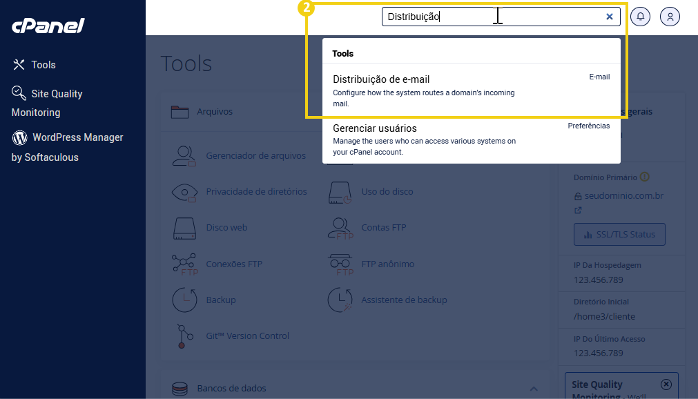 Tela do cPanel mostrando ferramenta de pesquisa de distribuição de e-mail, importante para gerenciar configurações de email em servidores de hospedagem.