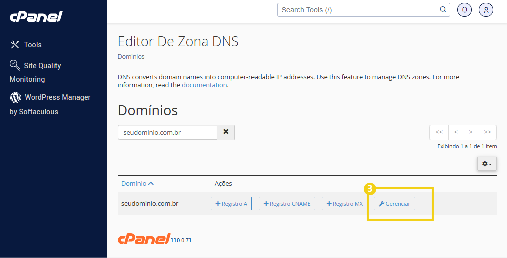 Tela do painel de controle do cPanel mostrando a gestão de DNS para o domínio seudominio.com.br, incluindo opções como registrar,gerenciar e alterar configurações.