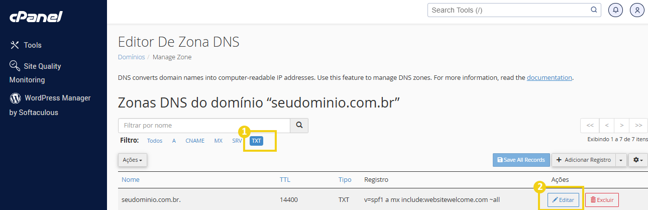 Imagem da interface do painel de controle de DNS do cPanel, exibindo configurações de zona de DNS para o domínio "seudomínio.com.br", com destaque na opção 'TXT' selecionada e destacando o campo "Editar"