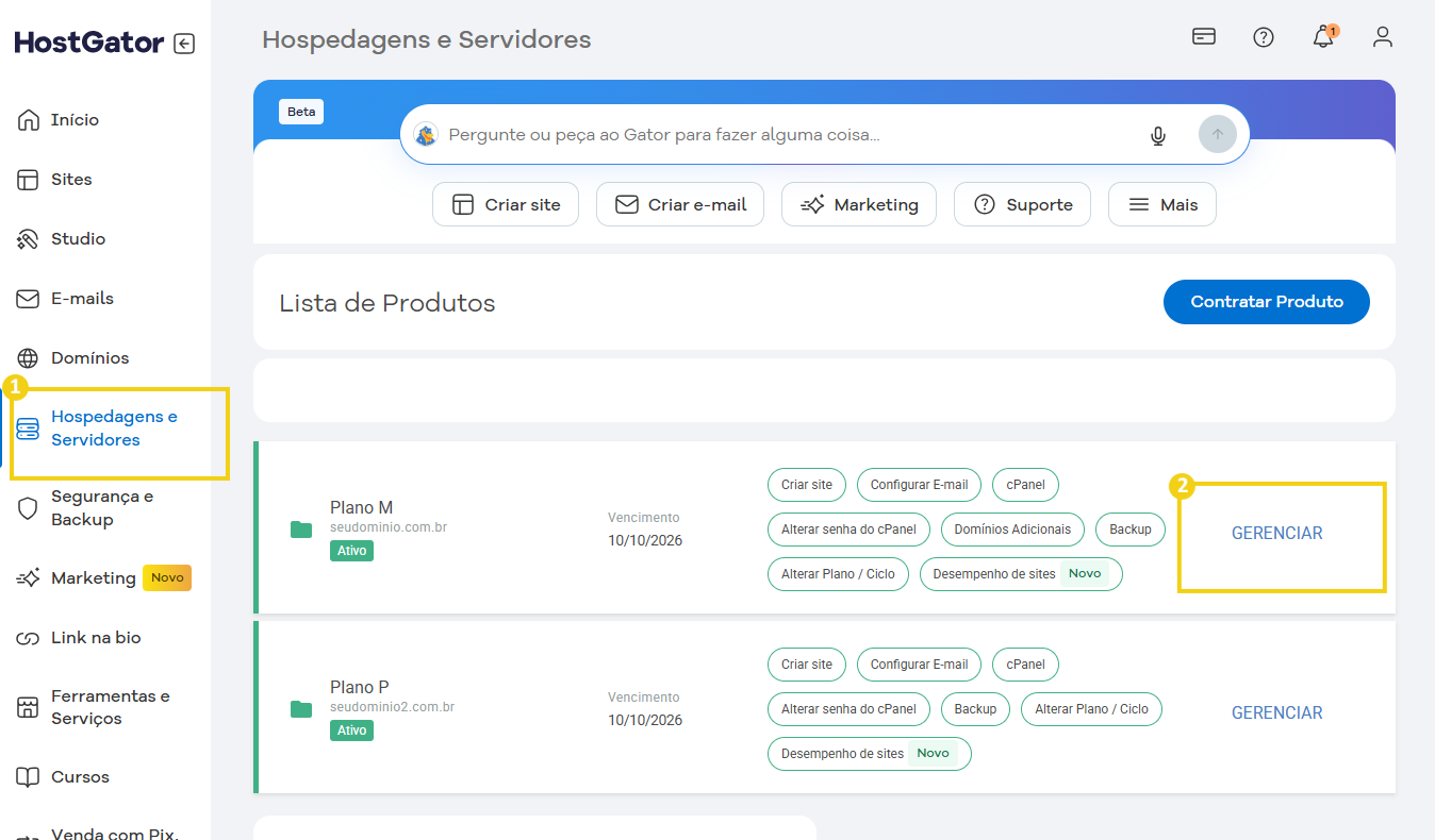 Tela do painel de controle da HostGator mostrando hospedagens e servidores, com destaque na opção Gerenciar