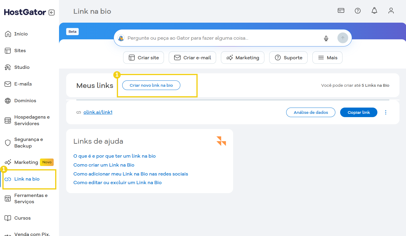 Configuração do link na bio no painel do HostGator mostrando a opção de criar novo link na bio para perfis sociais ou sites.