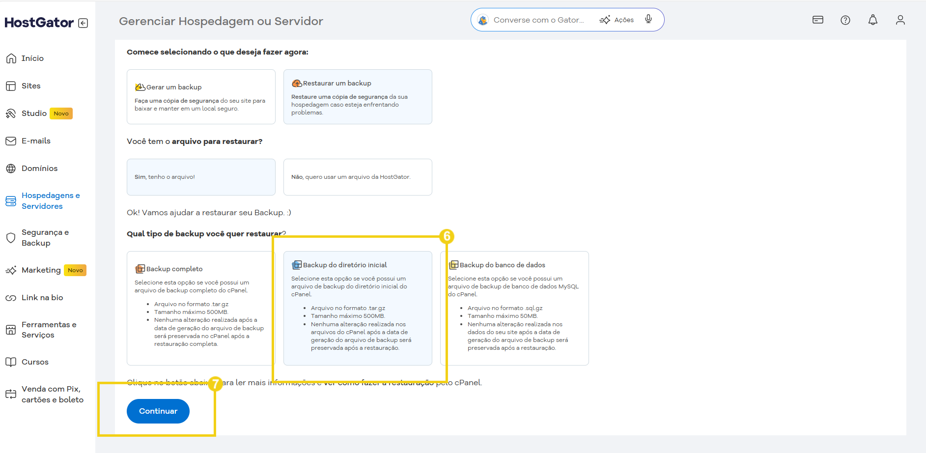 Tela de gestão de hospedagem no cPanel mostrando opções para restaurar backup e restaurar do backup online em hospedagem de servidor. 
