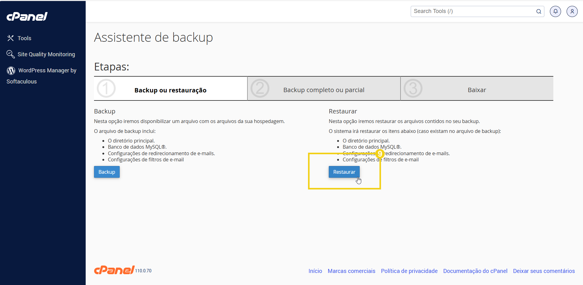 Assistente de backup do cPanel mostrando etapas de restauração e opções para restaurar arquivos de backup.