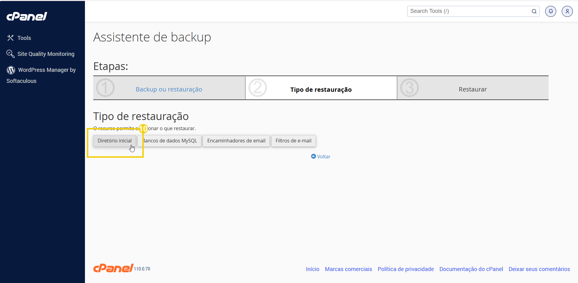 Painel do cPanel mostrando a etapa de seleção do tipo de restauração de backups, destacando a opção 'Diretório inicial' para restauração de backups. 