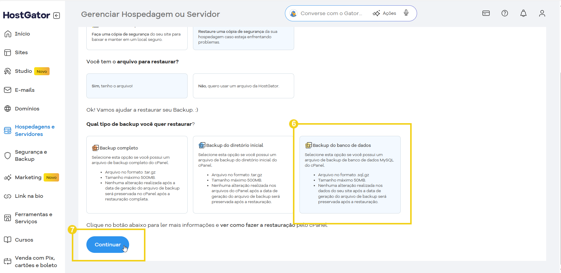 Gerenciamento de hospedagem ou servidor no painel do HostGator, exibindo opções para restaurar backups completos, de diretório inicial ou banco de dados.