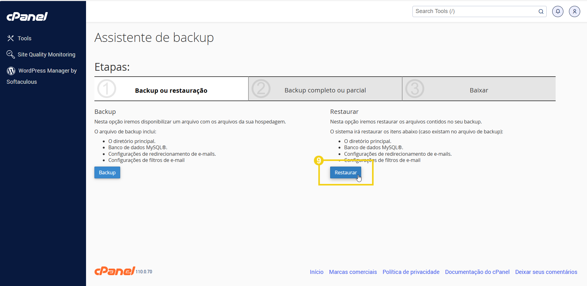 Painel de controle do cPanel exibindo a opção de restaurar backup no gerenciador de hospedagem