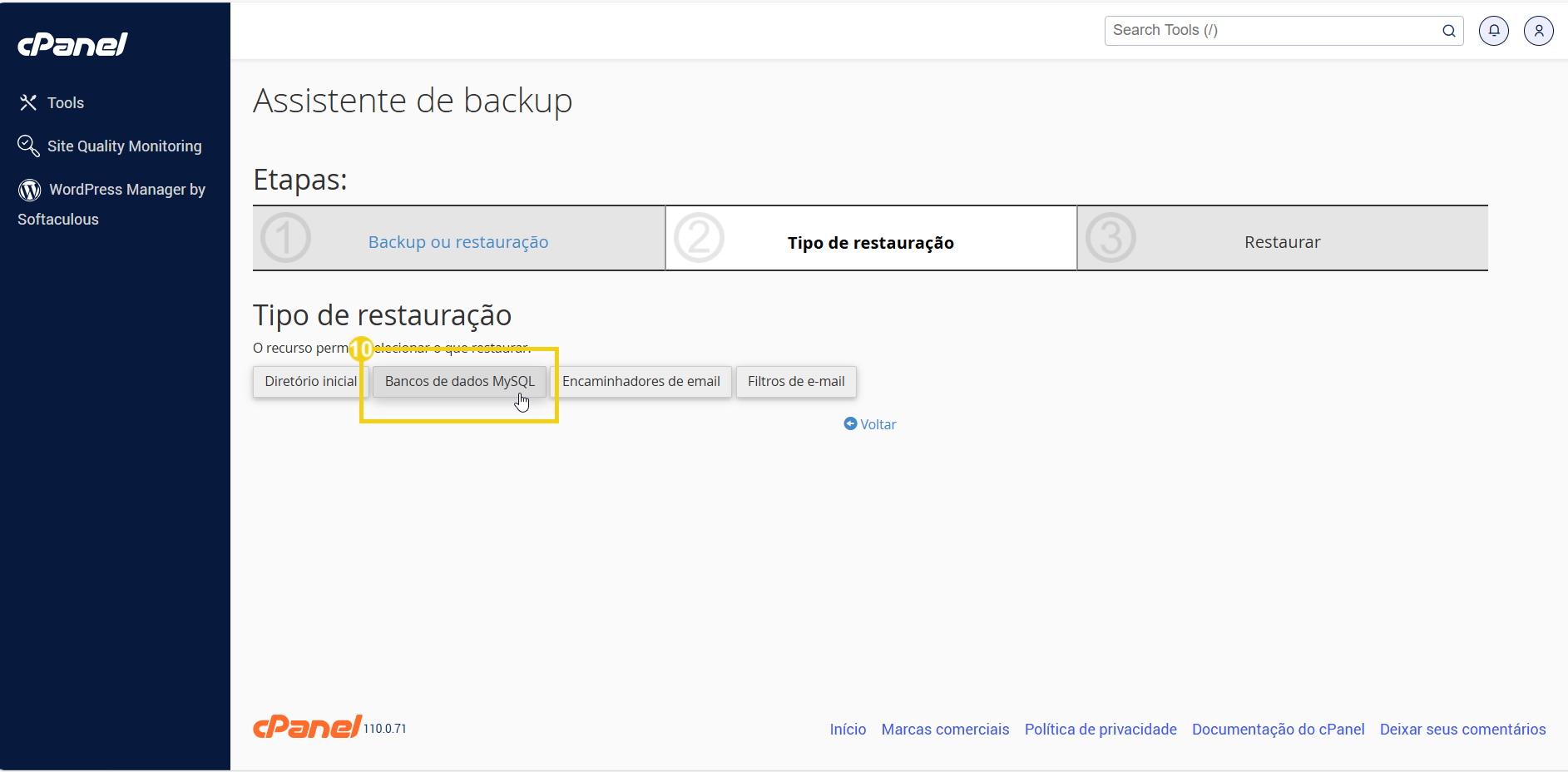 Captura de tela do painel do cPanel mostrando a opção de backup de bancos de dados MySQL para restaurar dados de forma segura. 
