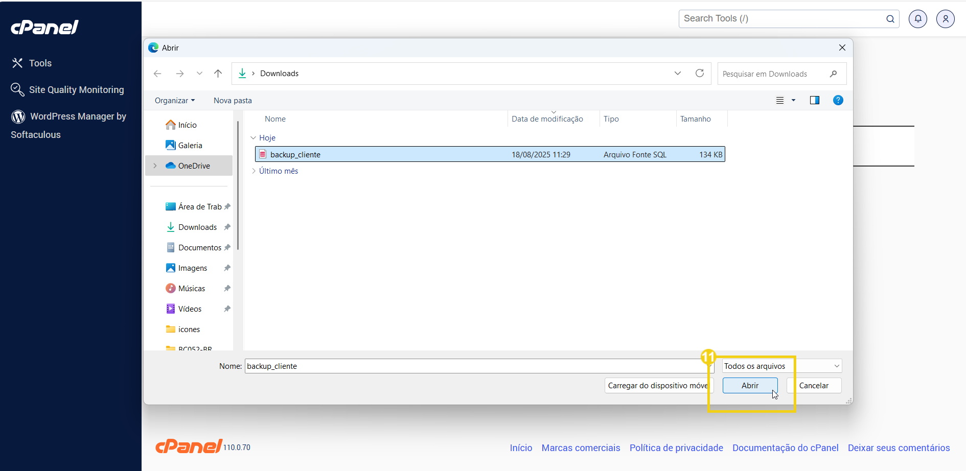 Imagem de um usuário realizando backup de cliente no painel cPanel, demonstrando procedimentos de segurança de dados na hospedagem de sites.