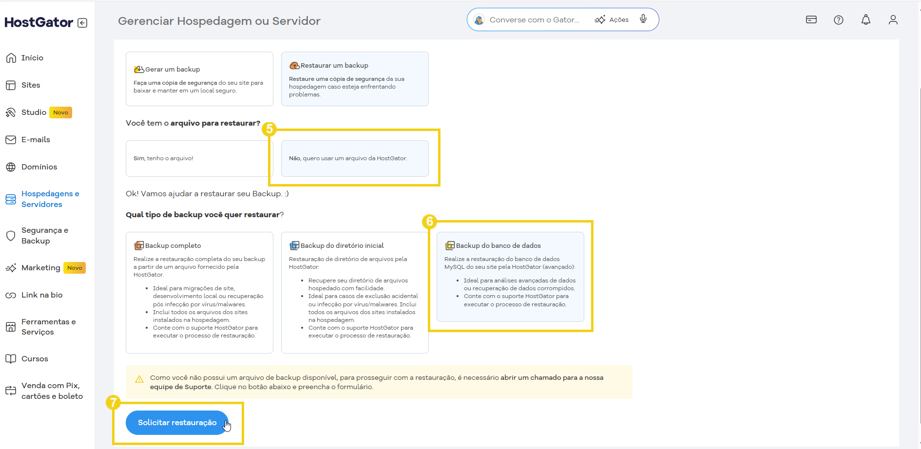 Gerenciamento de hospedagem ou servidor na plataforma HostGator, mostrando opções de backup e restauração de arquivos.