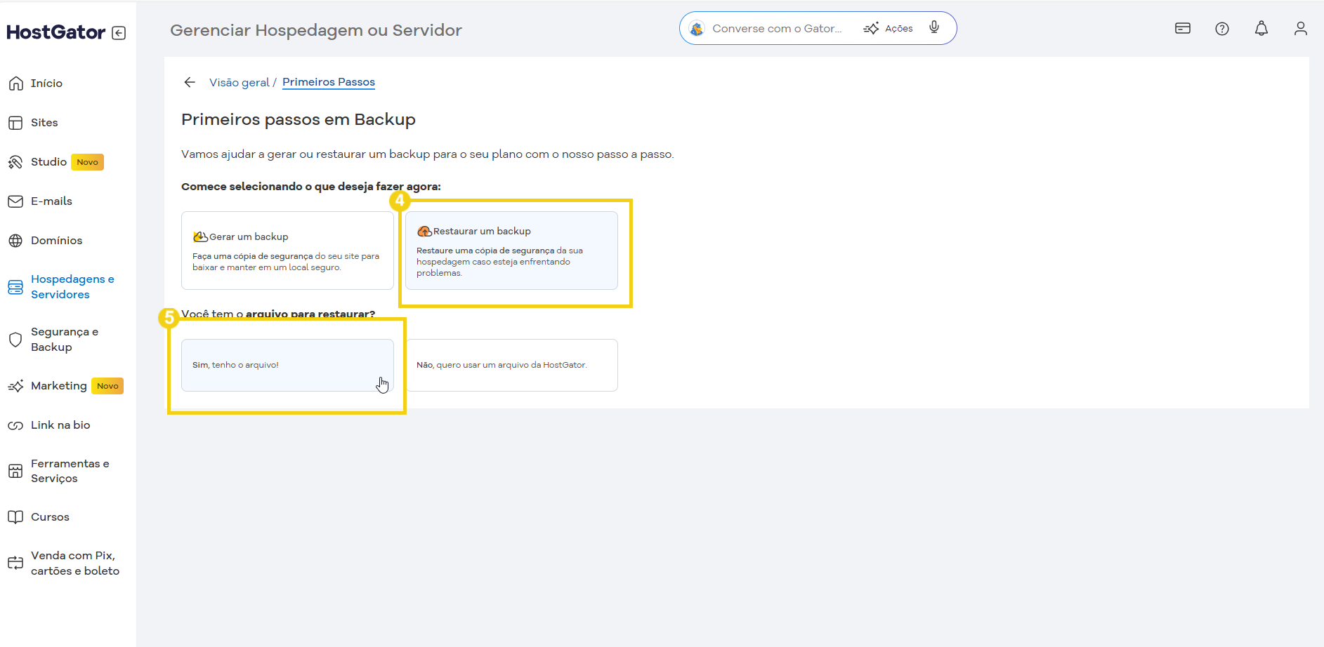 Tela do painel do HostGator mostrando opções para gerenciar o backup do servidor, incluindo criar novo backup, restaurar backup e verificar o status do backup.