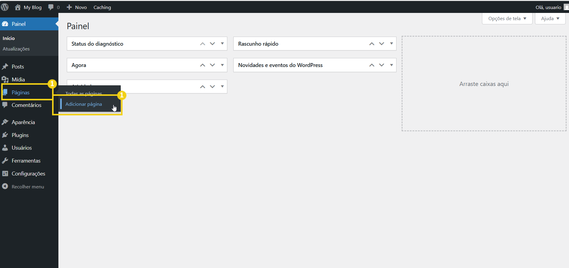 BR124-BR -editar pagina no wordpress-passo-01-0.png