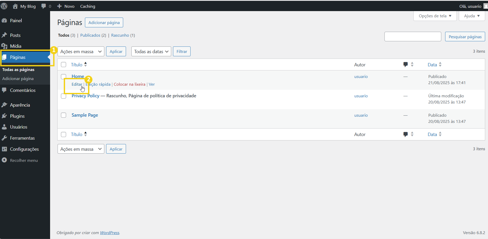 02-BR124-BR -editar pagina no wordpress-passo-01_e_02-0.png