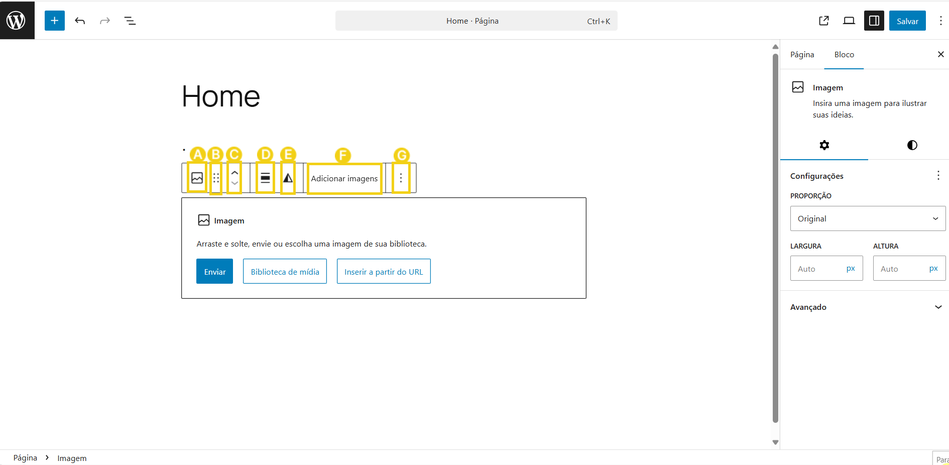 03-BR124-BR -editar pagina no wordpress-passo-03-C-imagem-0.png
