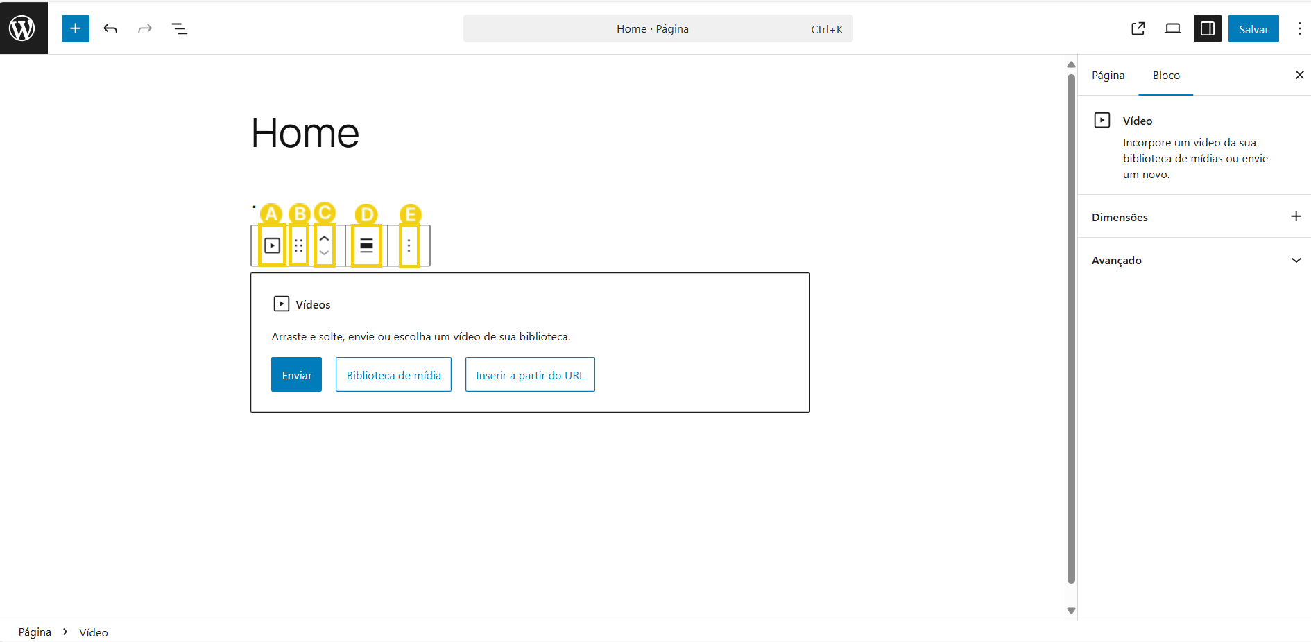03-BR124-BR -editar pagina no wordpress-passo-03-D-video-0.png