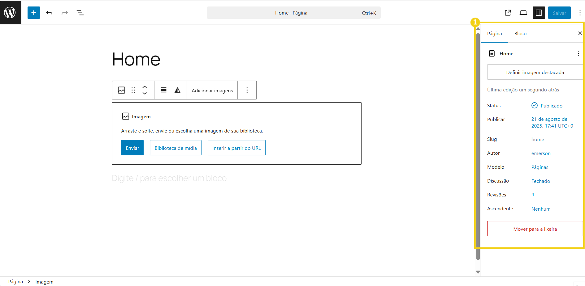 05-BR124-BR -editar pagina no wordpress-passo-01-0.png