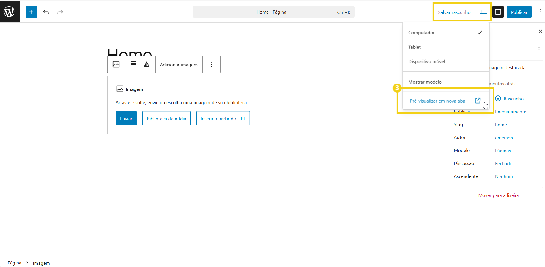05-BR124-BR -editar pagina no wordpress-passo-03-0.png