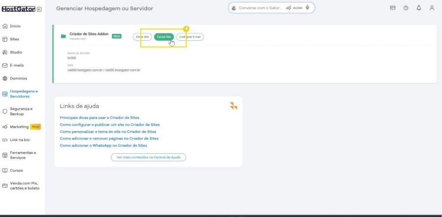 A Imagem mostra o Gerenciamento de hospedagem, em destaque o botão Excluir Site.