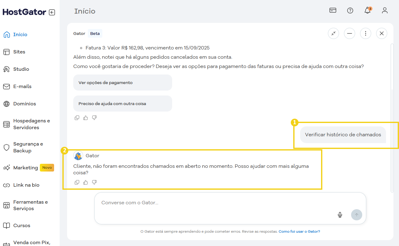 verificar historico de chamados-0.png