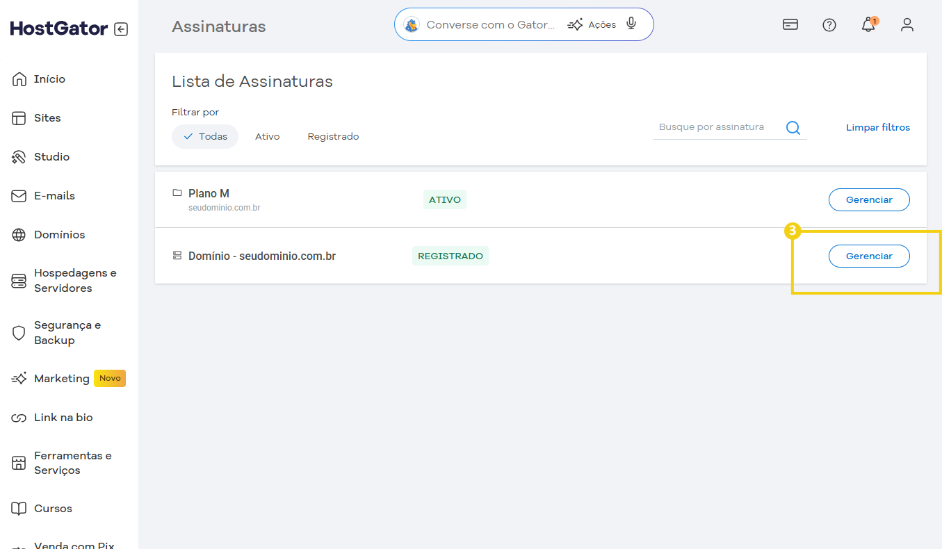 Tela de gerenciamento de listas de assinatura no HostGator, mostrando opções de cadastro e gerenciamento de domínios e plano de assinatura no painel do usuário.