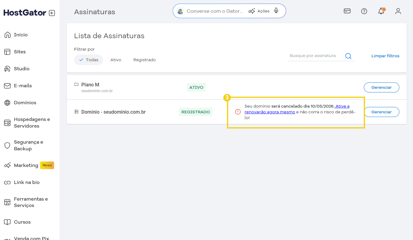 Tela de gerenciamento de assinaturas no HostGator mostrando o aviso de renovação de domínio e opções de gerenciamento 
