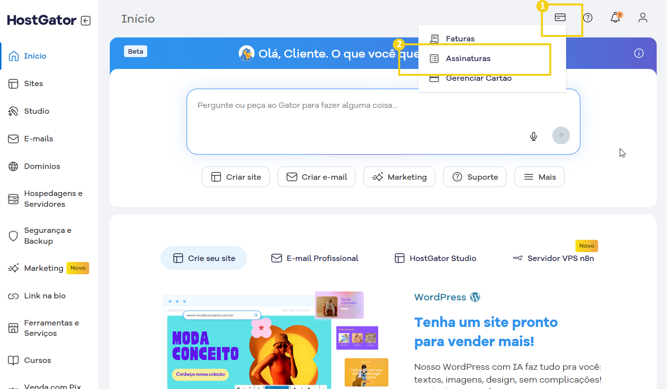  Tela do painel do HostGator mostrando opções de faturamento, assinaturas e gerenciamento de cartão de crédito, com destaque para o menu de navegação.