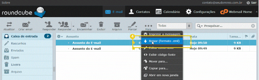 Painel de gerenciamento de emails no Roundcube, com opção de baixar email em formato .eml destacada.
